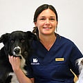 Foto av Annemo, Leg. Veterinär Med Specialistkompetens