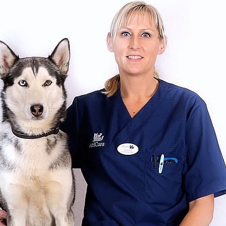 Foto av Johanna, Legitimerad Djursjukskötare