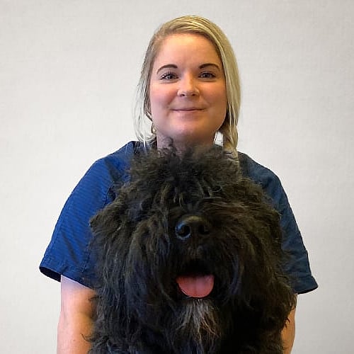 Foto av Anna, Leg. Veterinär Med Specialistkompetens
