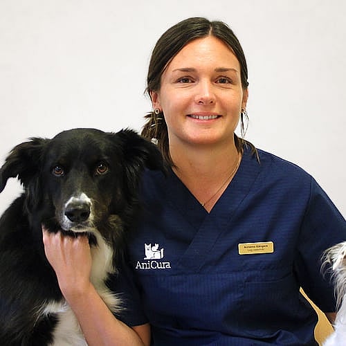 Foto av Annemo, Leg. Veterinär Med Specialistkompetens