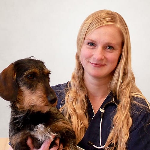 Foto av Ylva, Leg. Veterinär