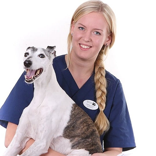 Foto av Amanda, Legitimerad Veterinär
