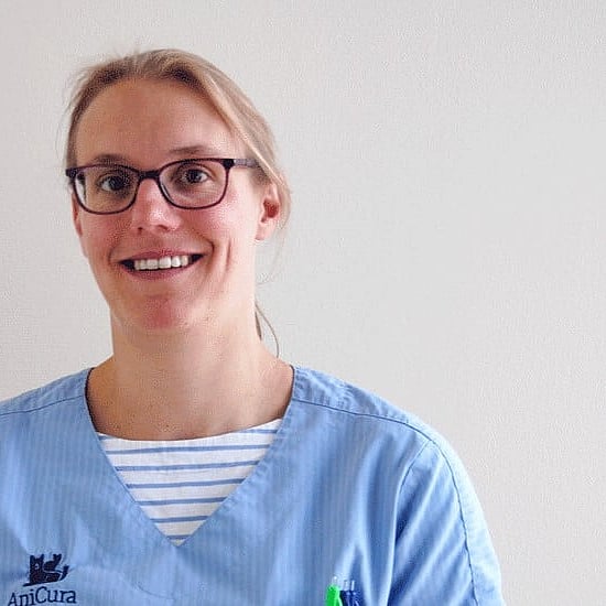 Foto av Lieke, Legitimerad Veterinär, Veterinärchef