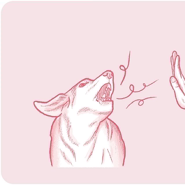 Röd teckning på en hunds huvud med öppen mun, streck som kommer ur dens mun och en hand som säger stopp.