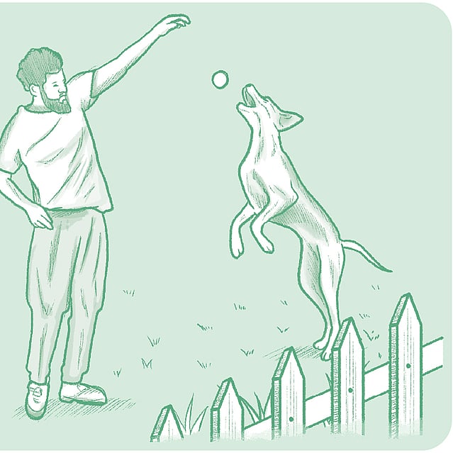 Teckning på en man och en hund som leker utomhus. Mannen kastar en boll och hunden hoppar upp mot bollen. Teckningens bakrund är grön.