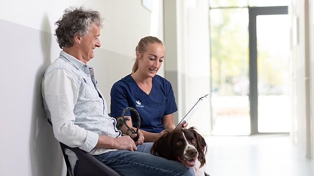 En man och en kvinna sitter och pratar. Framför de sitter en stor hund på golvet.