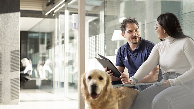 Två personer, en kvinna och en man som sitter på en bänk i korridoren på ett djursjukhus. En hund står nedanför och blir klappad på.
