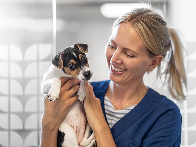 Kvinnlig veterinär håller i en liten hund och ler.