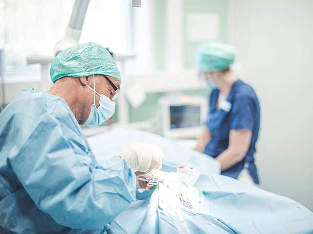 Operationssalen där två veterinärer jobbar i skyddskläder.