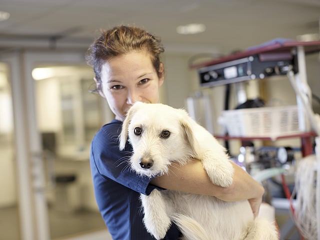 En kvinna håller om en hund.