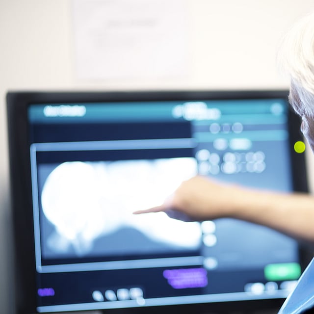 Veterinär kollar på en datorskärm.