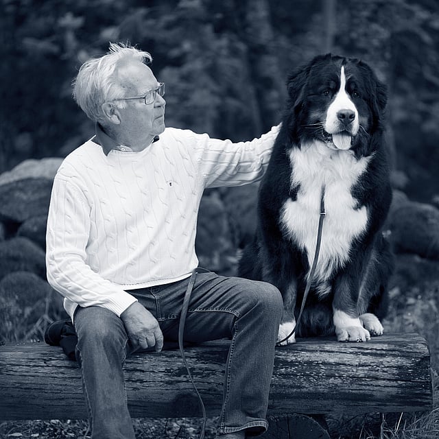 En äldre man sitter på en stock med sin stora Berner sennenhund ute i naturen. Mannen klappar på hunden. Bilden är i svartvitt.