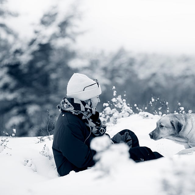 En hund och en person leker utomhus i snön.