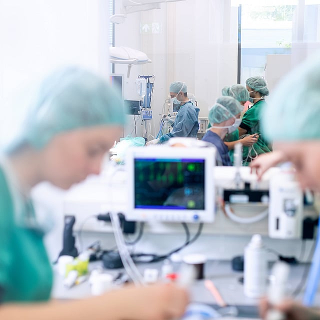 Operationssal där flera veterinärer i skyddskläder jobbar.