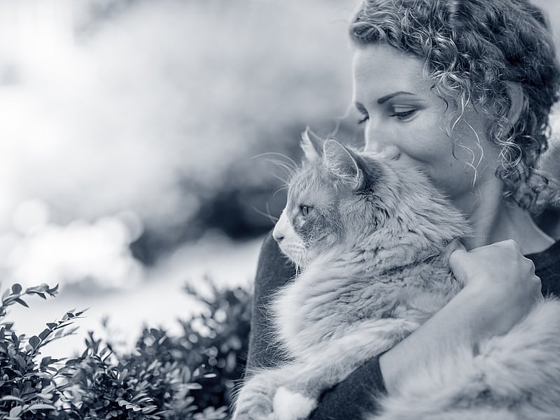 Kvinna kramar om en katt.
