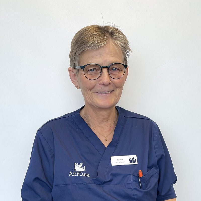 Foto av Katarina, Leg. Veterinär