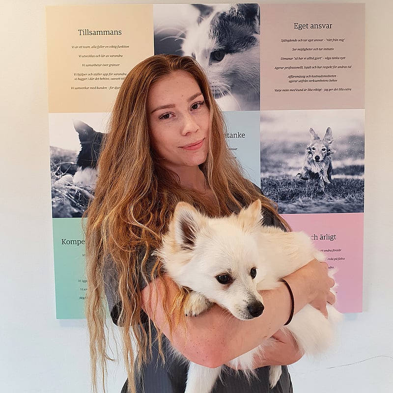 Foto av Adéla, Djurvårdare nivå III