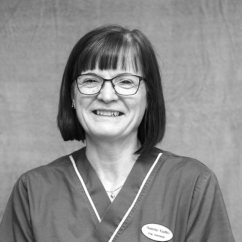 Foto av Anette, Leg. Veterinär med specialistkompetens