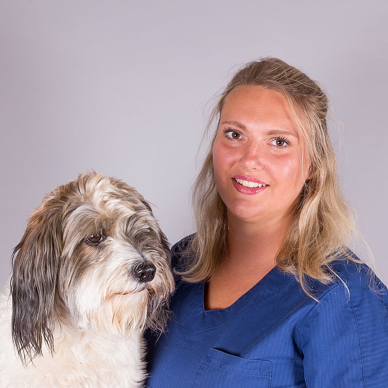 Foto av Alexandra Dahl, Leg. Djursjukskötare
