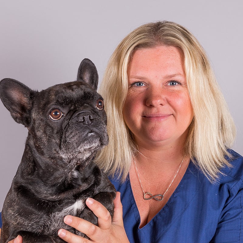 Foto av Linda Jurstrand, Leg. Djursjukskötare