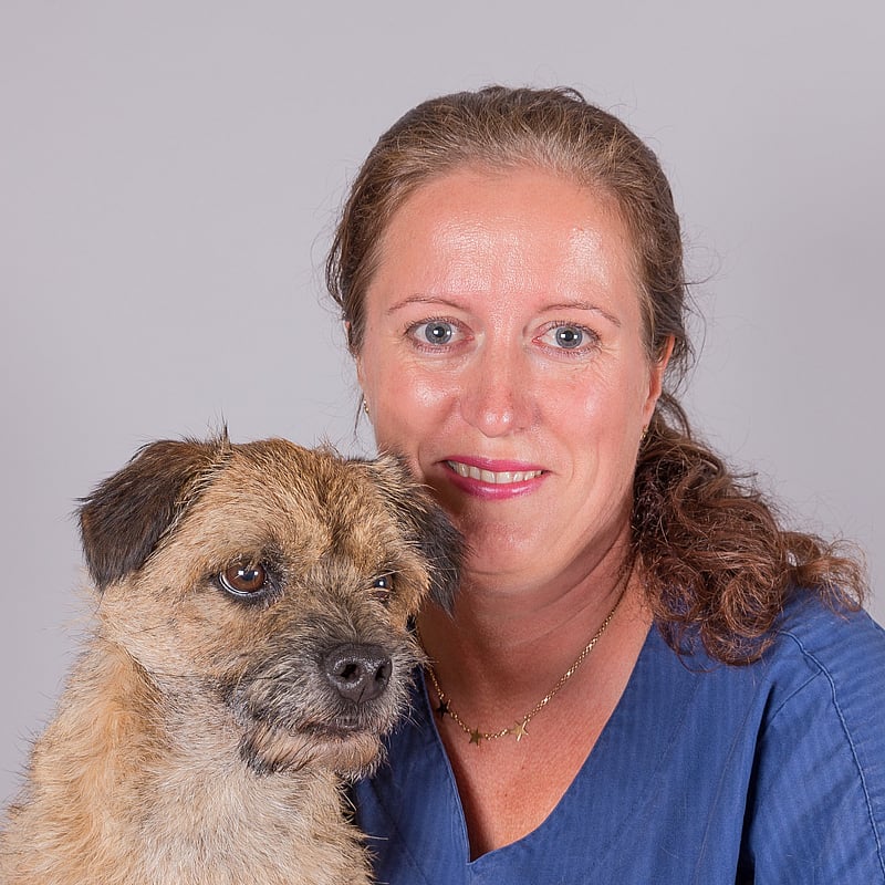 Foto av Maria Söderberg, Legitimerad Veterinär & Klinikchef