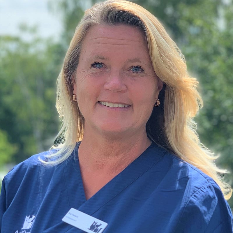 Foto av Åsa Hersén, Ledning