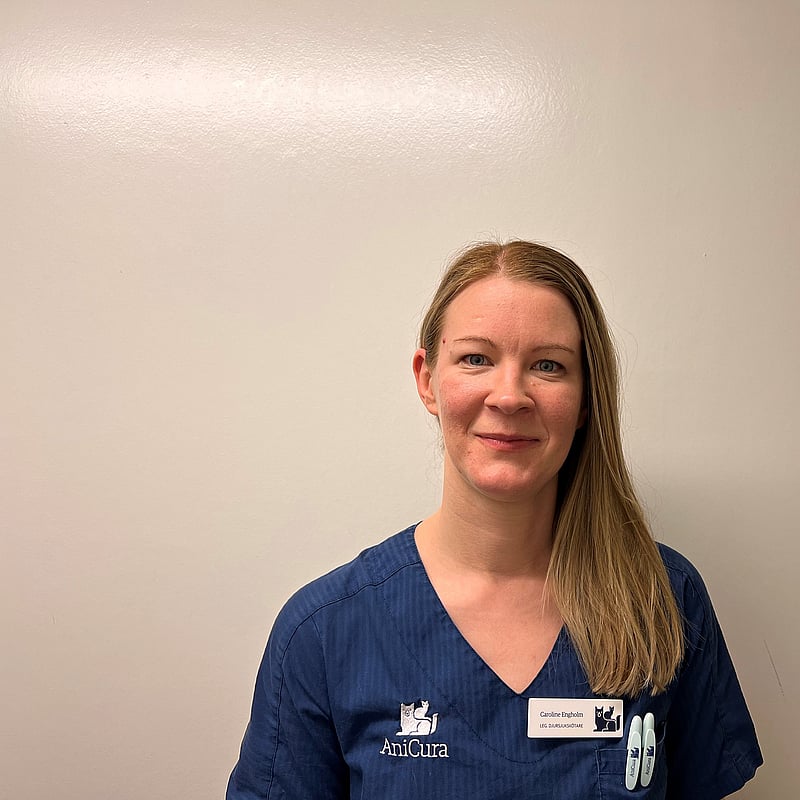 Foto av Caroline, Legitimerad Djursjukskötare