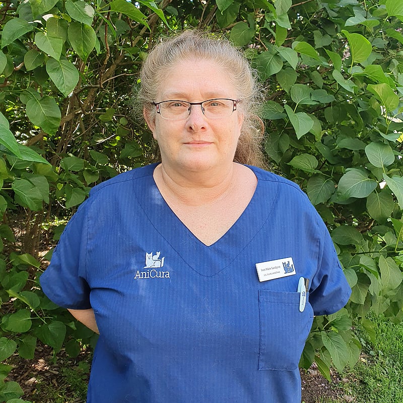 Foto av Jeanie, Legitimerad Djursjukskötare