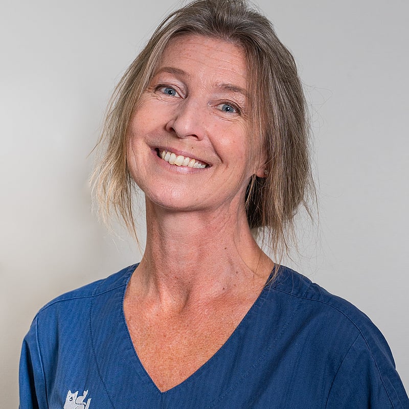 Foto av Anna Hofer, Legitimerad Veterinär