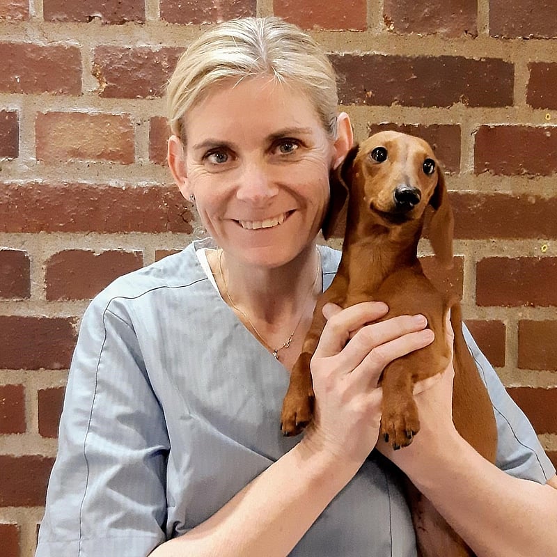 Foto av Alexandra Vilén, Legitimerad Veterinär