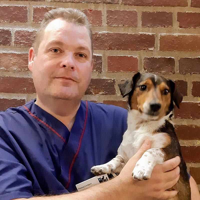 Foto av Thomas Lindgren, Legitimerad Veterinär