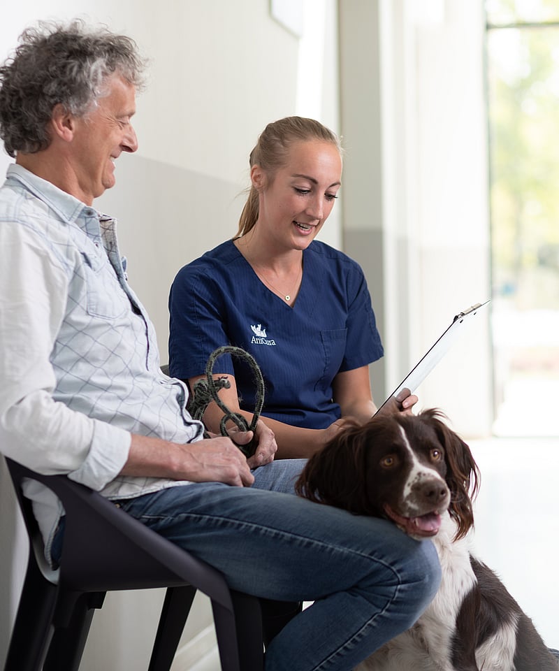 En man och en kvinna sitter och pratar. Framför de sitter en stor hund på golvet.