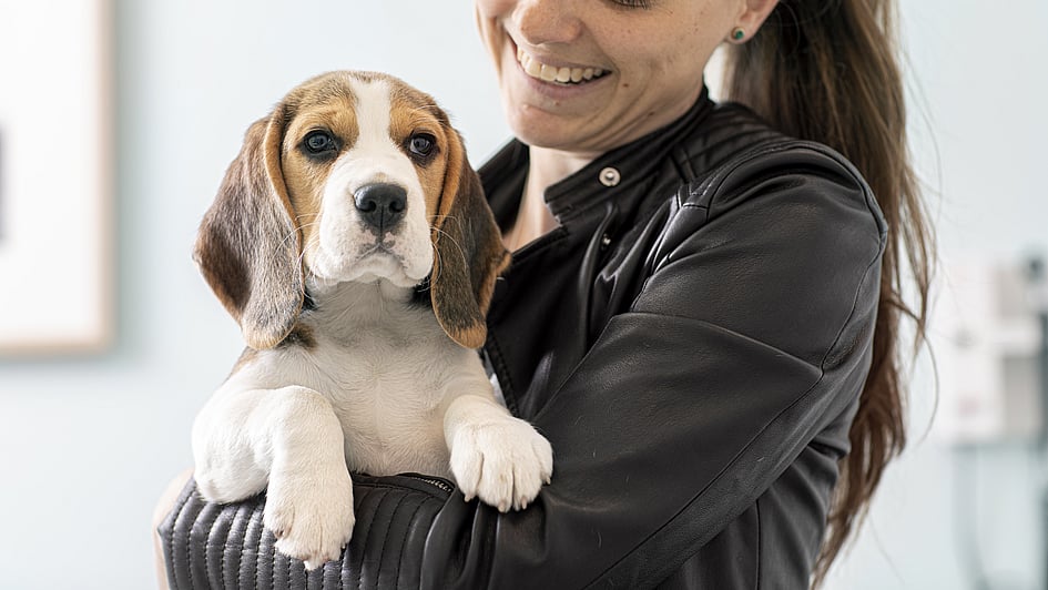 En brunhårig kvinna med uppsatt håret i tofs, svart skinnjacka håller i en beagle.