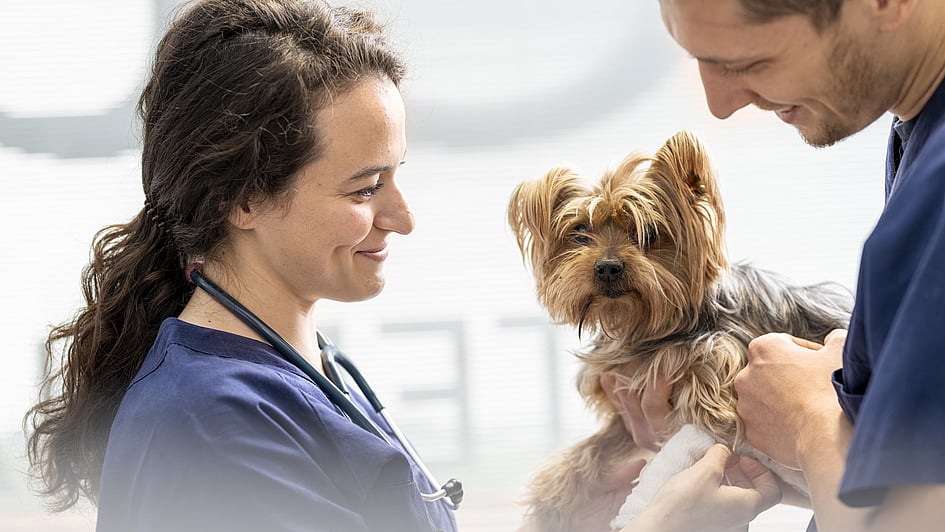 En kvinnlig veterinär med långt, brunt och lockigt hår i tofs lyfter en liten fluffig hund framför sig. Hunden är ljusbrun med rakt långt hår och kvinnan ler mot den.