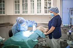 Veterinär och djursjukskötare inne i en operationssal.