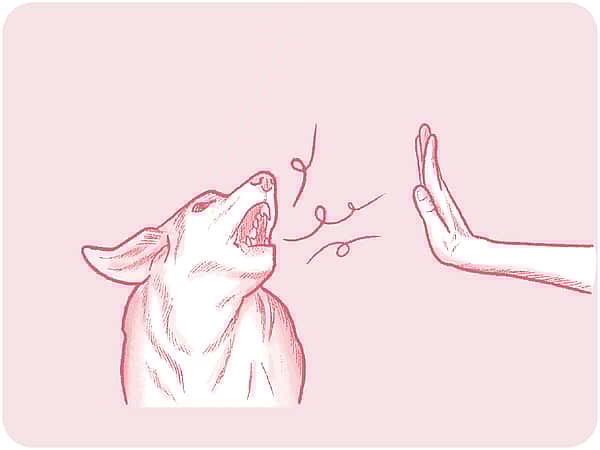 Röd teckning på en hunds huvud med öppen mun, streck som kommer ur dens mun och en hand som säger stopp.