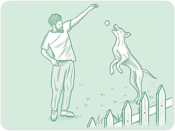Teckning på en man och en hund som leker utomhus. Mannen kastar en boll och hunden hoppar upp mot bollen. Teckningens bakrund är grön.