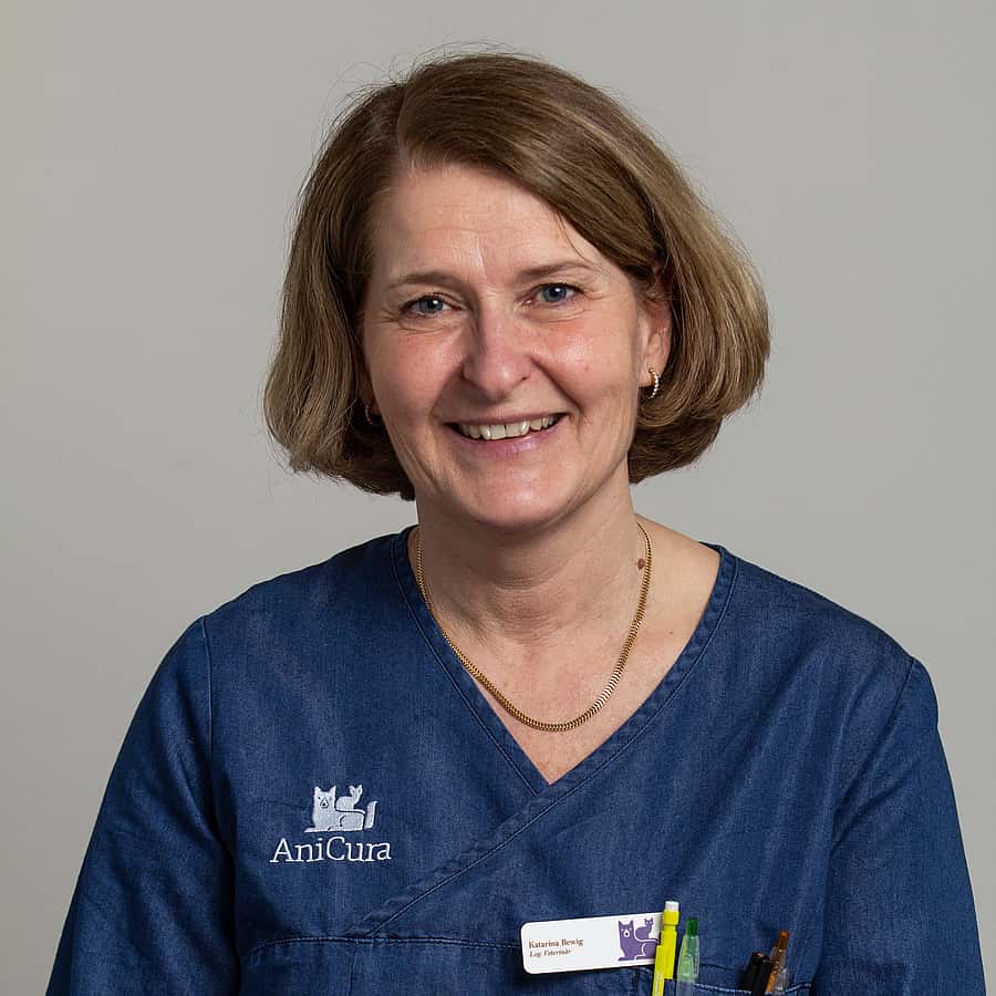 Katarina Bewig