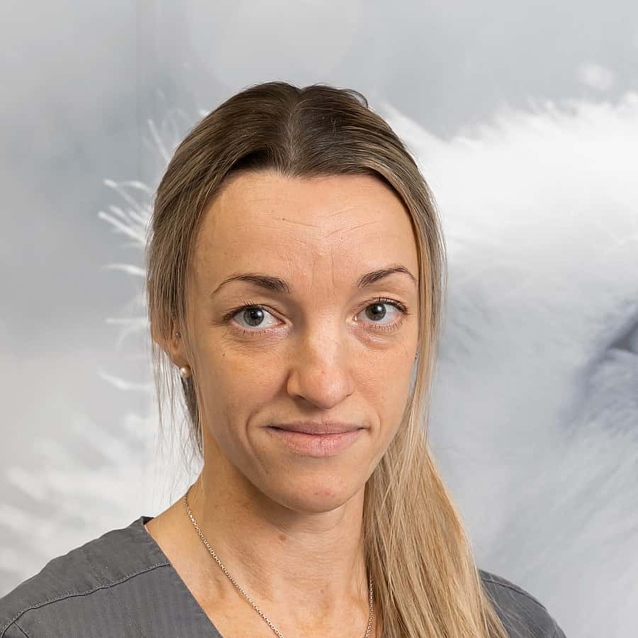 Anna P, Legitimerad veterinär, Specialist i hunden och kattens sjukdomar