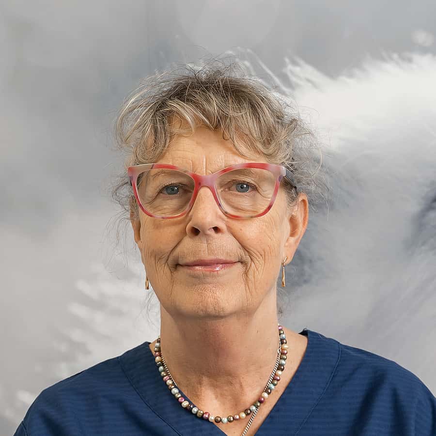 Susanne N