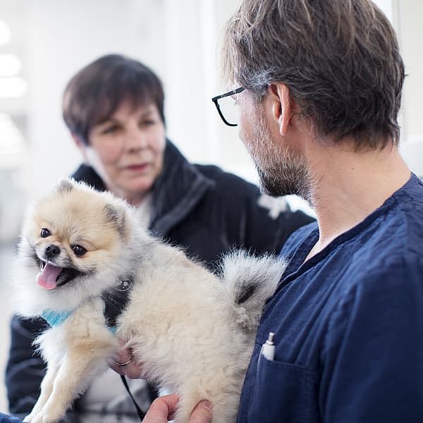En manlig veterinär iklädd blåa vårdkläder och glasögon håller i en liten glad hund och pratar med en kvinna i svart jacka.