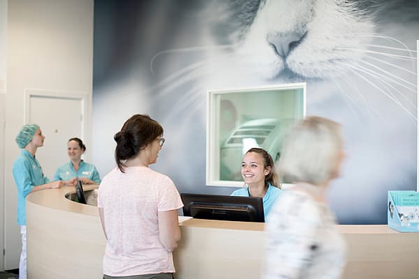 Fem kvinnor står runt AniCuras reception; två veterinärer står längst bak, en kvinna står bakom bordet och ler mot en besökare och en femte går bara förbi.
