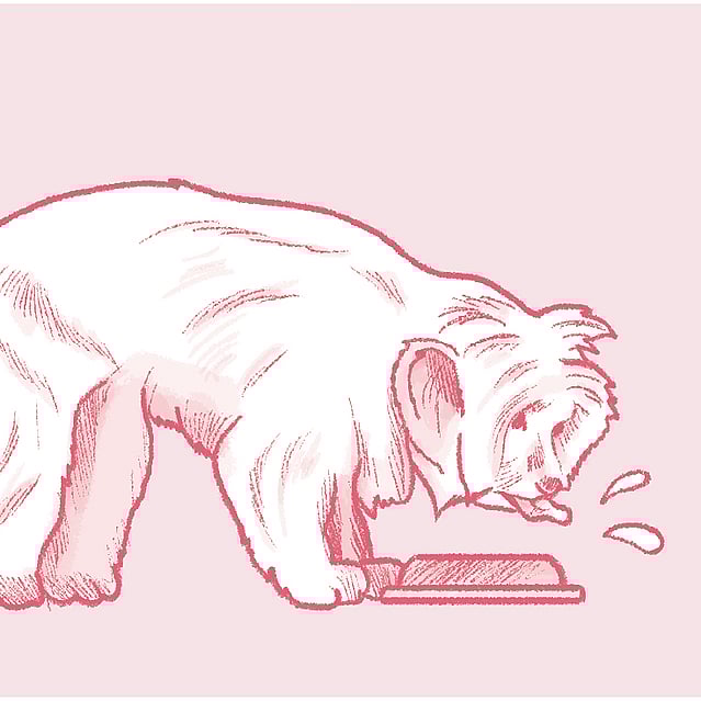 Röd teckning på en lurvig hund som dricker ur ett vattenskål. Hundens tunga sticker ut och två vattendroppar ligger i luften vid skålen.