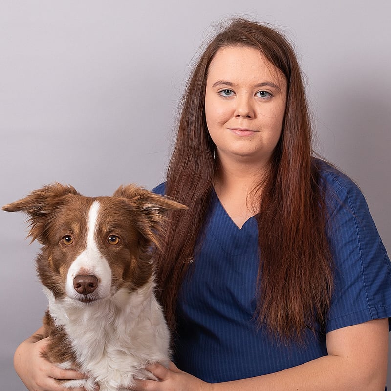Foto av Jennie Holmberg, Djurvårdare