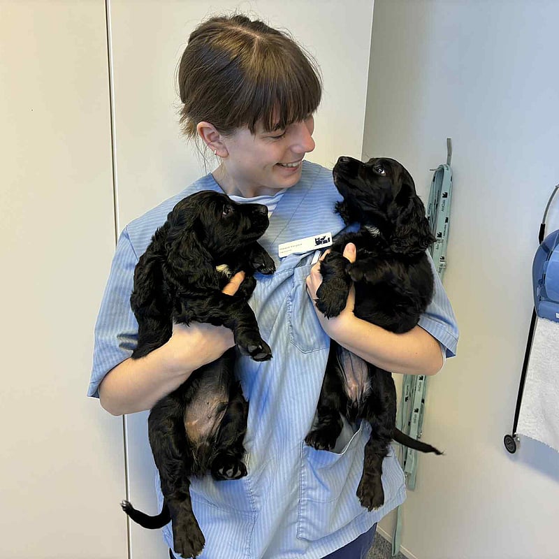 Foto av Hannah Vinquist, Leg.veterinär