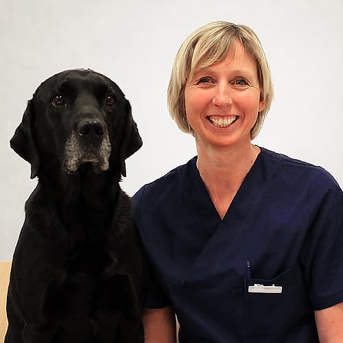 Foto av Suzanne, Leg. Veterinär