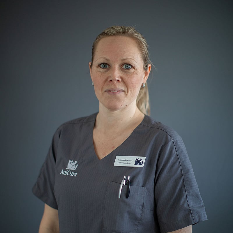 Foto av Johanna Pettersson, Leg. Djursjukskötare