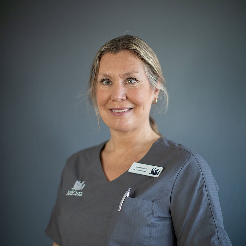Foto av Linda Hamilton, Leg. Djursjukskötare