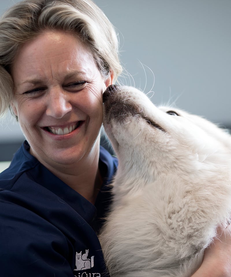 Vit hund slickar på en kvinnlig veterinär. Veterinären kramar om hunden och ler.