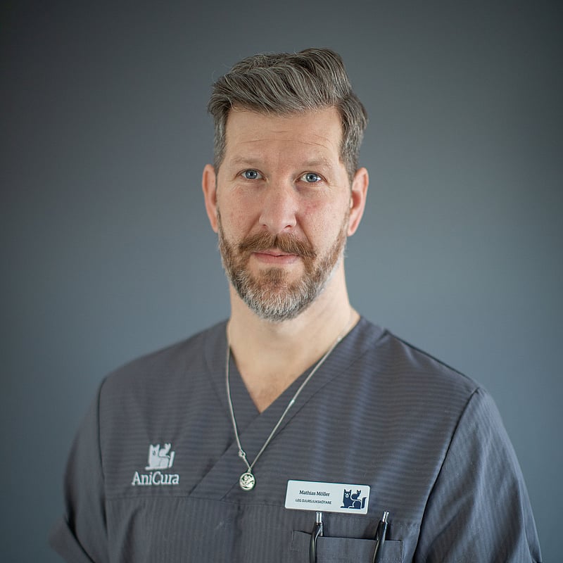 Foto av Mathias Möller, Leg. Djursjukskötare